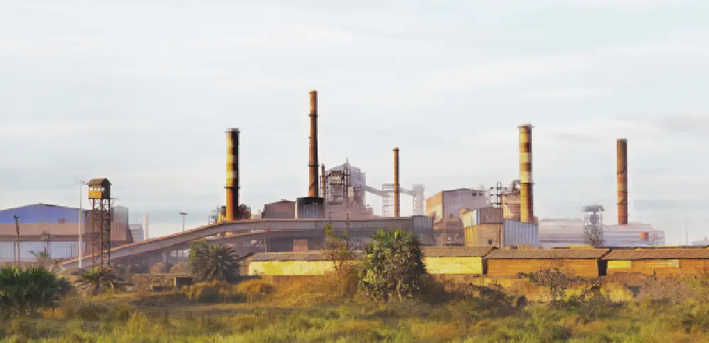 Jamuria Plant